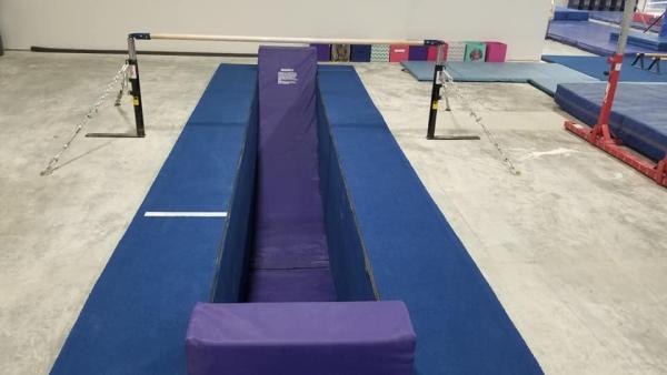 Renzi Gymnastics Academy