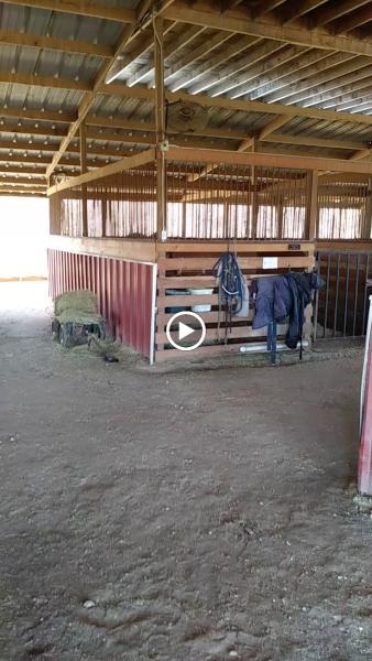 Buckbranch Farm