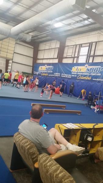 Tiger Academy of Gymnastics