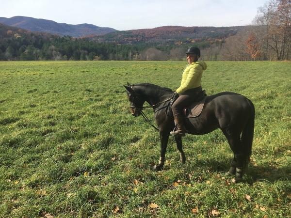 Amara Farm LLC