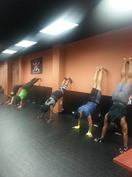 Metafit Complete LLC