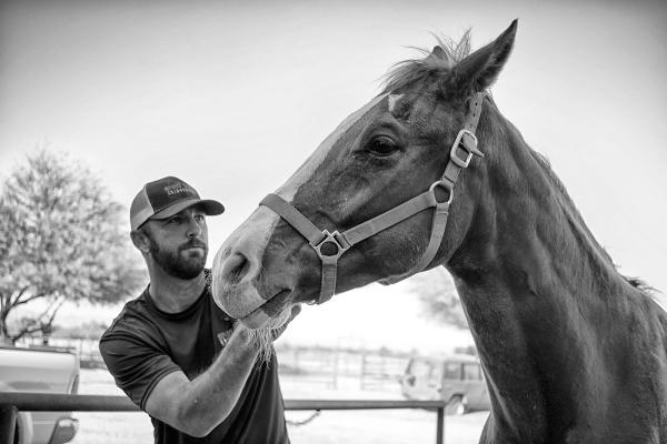 Sport Horse Chiropractic