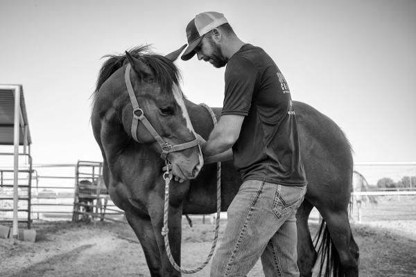 Sport Horse Chiropractic