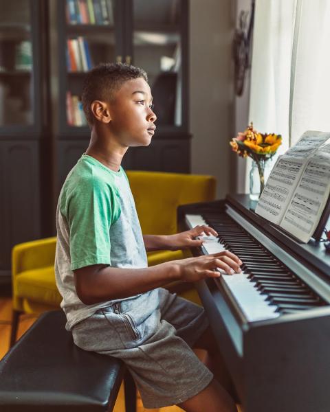 Mastering the Piano: Lessons in Your Home