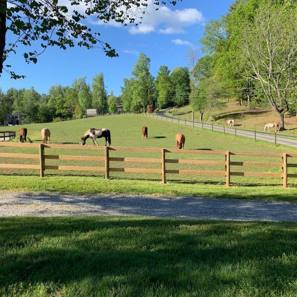 Willow Pond Stables