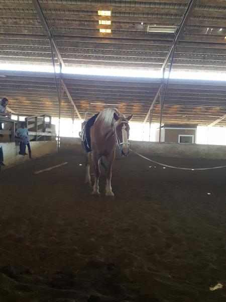 Monterey Bay Horsemanship & Therapeutic Center