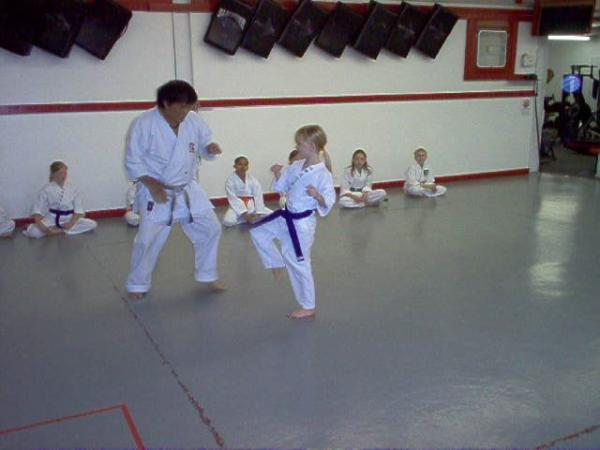 Prokarate Grand Rapids