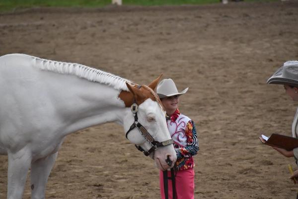 Wilson Hill Stables