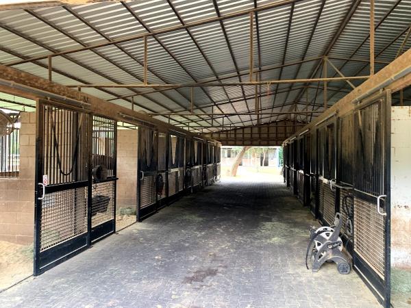 Lone Star Stables