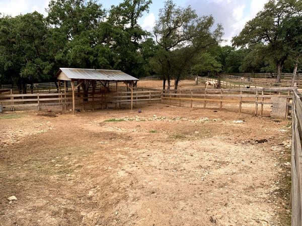 Lone Star Stables