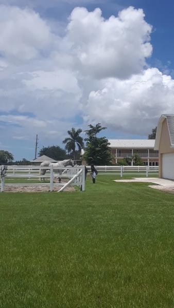 Strong Current Stables