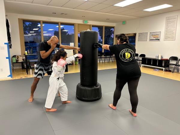 Sunny Dojo