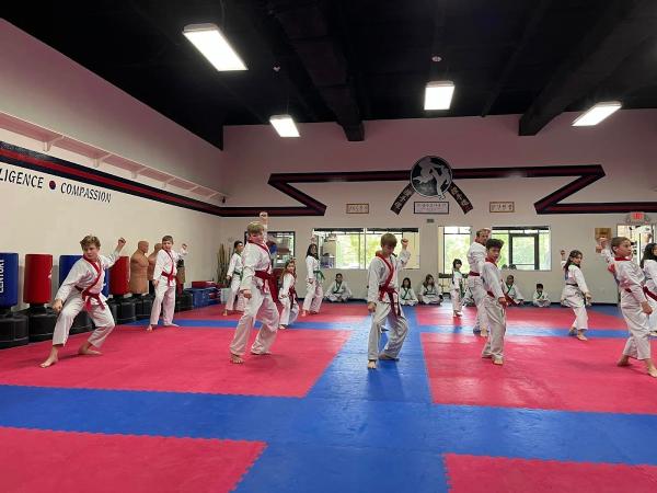 The Woodlands Martial Arts Academy