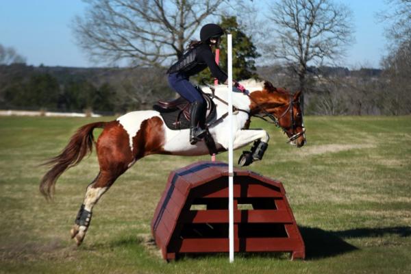 The Vista Schooling and Event Center