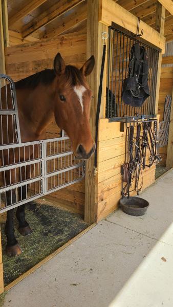 The Vista Schooling and Event Center