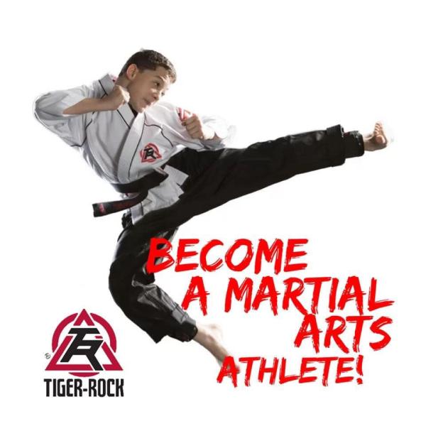 Joel Neely's Tiger-Rock Martial Arts Academy