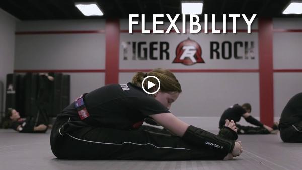 Joel Neely's Tiger-Rock Martial Arts Academy