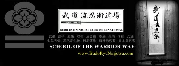 Budo Ryu Ninjutsu Dojo