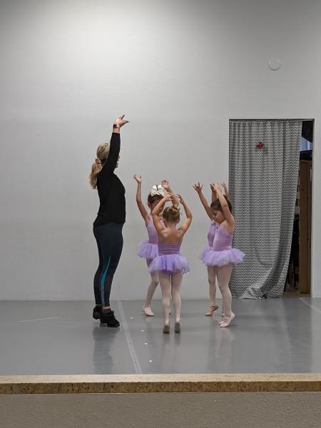 Sarasota Dance Academy