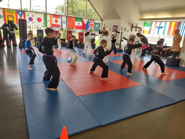 Kempo Martial Arts and Fitness