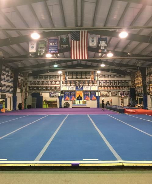 FCA Gems and Flo's Gymnastics Plus Inc