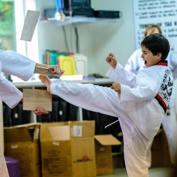 Lee's Traditional Taekwondo