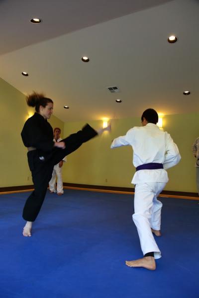 Karate-Do Kenpo Academy