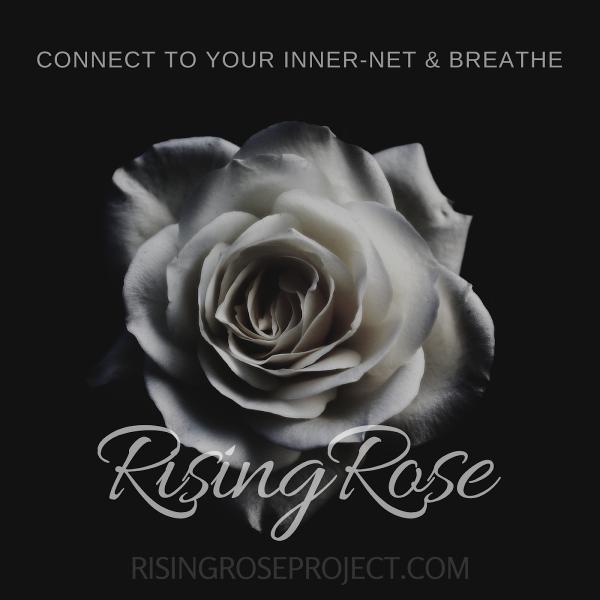 Rising Rose