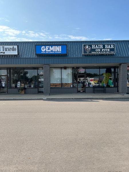 Gemini Pole Fitness