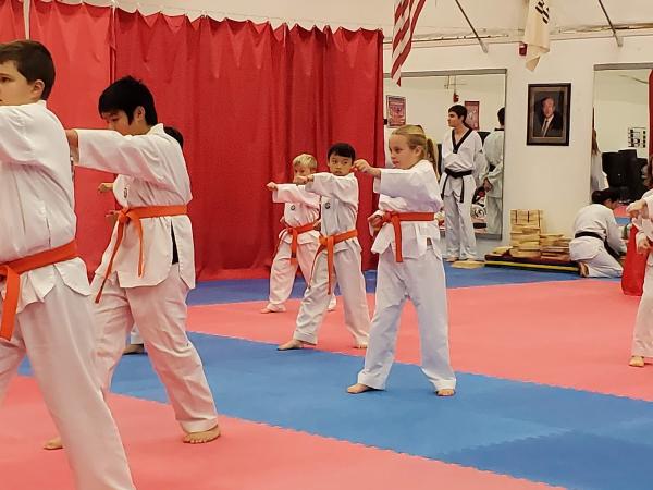 Ahn Taekwondo Institute