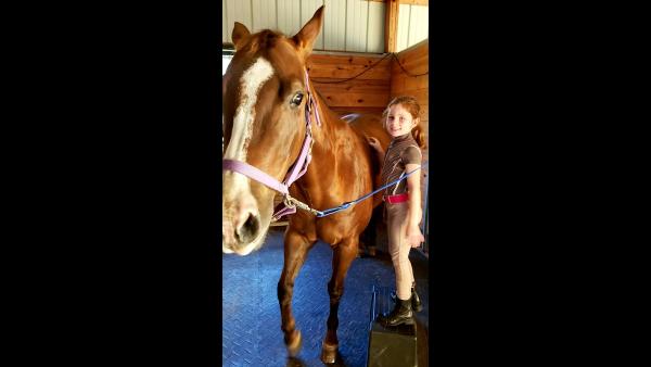 Tamarian Farms Equestrian Center