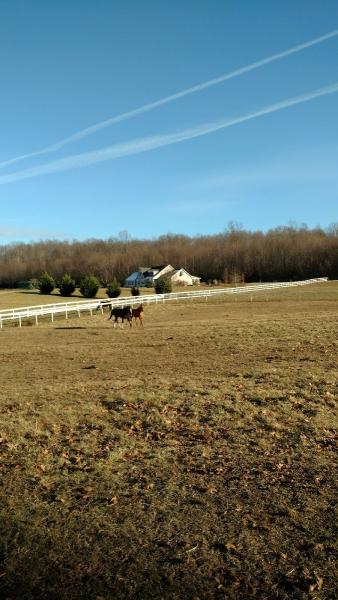 Shadow Ridge Equestrian