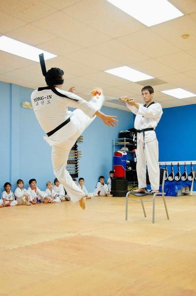 Yong IN Tiger TAE Kwon DO