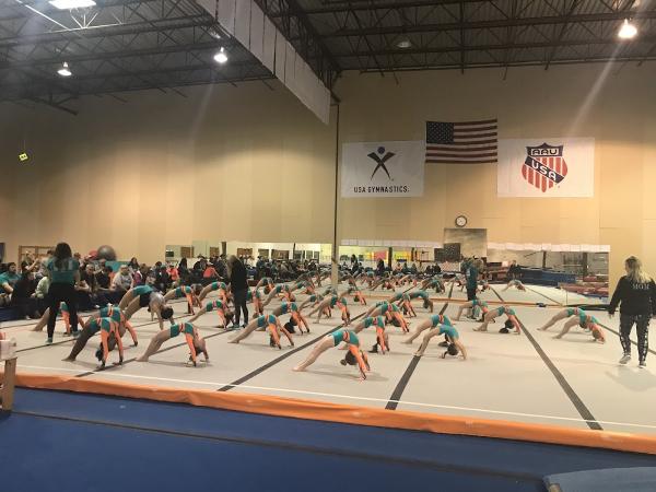 Oklahoma City Gymnastics
