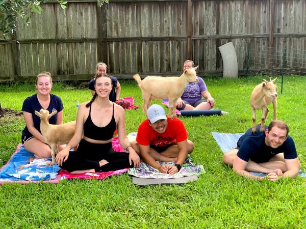 Goat Yoga Houston