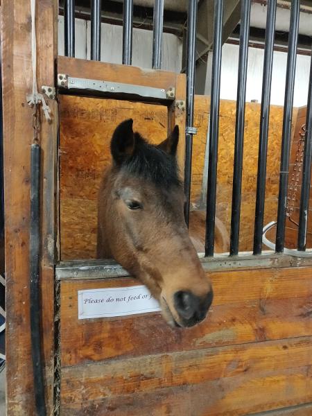 Eaton Equestrian Center