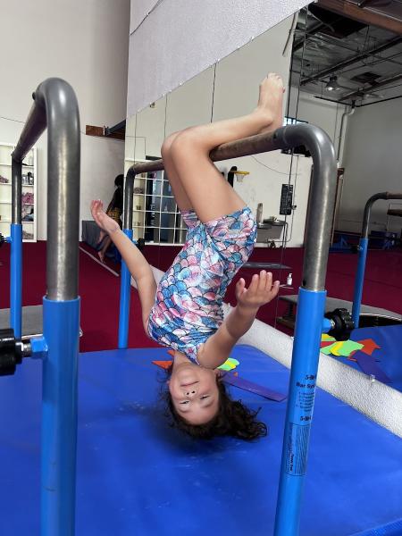 Elite Gymnastics Fitness Academy