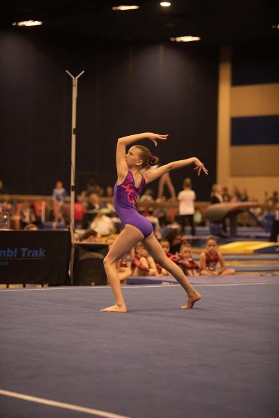 Elite Gymnastics Fitness Academy