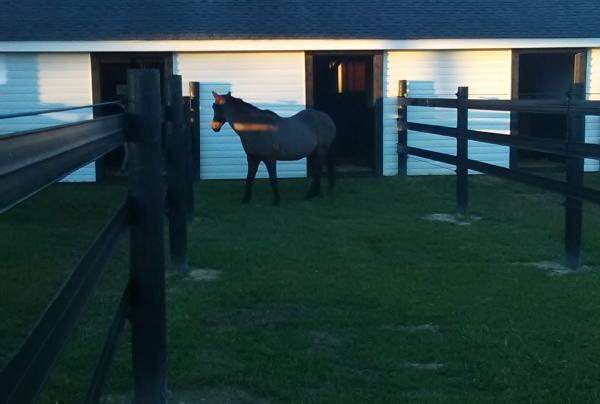 Bridlewild Equestrian Center