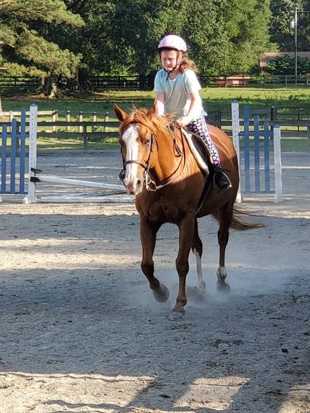 Hunter Lane Stables