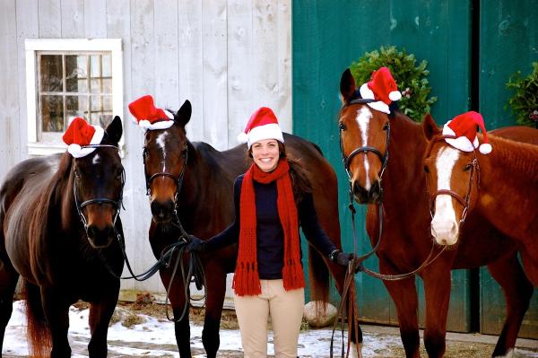 Cocomeau Equestrian