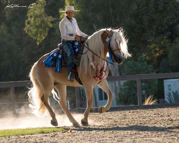 Royal Ridge Equestrian Center