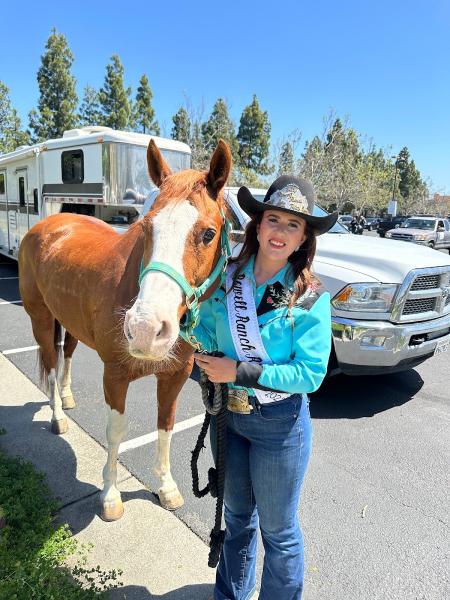 All Seasons Horse Riding