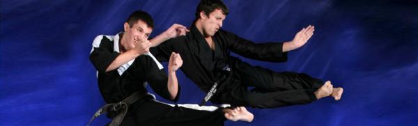 The Woodlands Karate and MMA