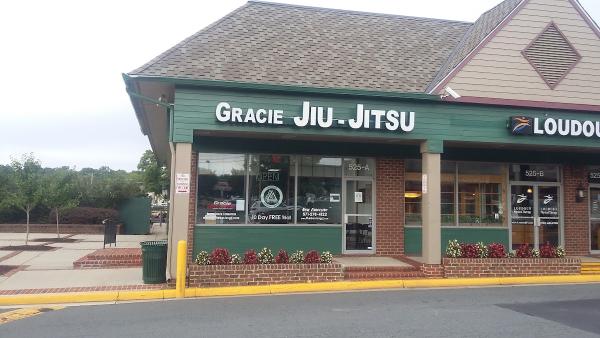 The Basics Gracie Jiu-Jitsu