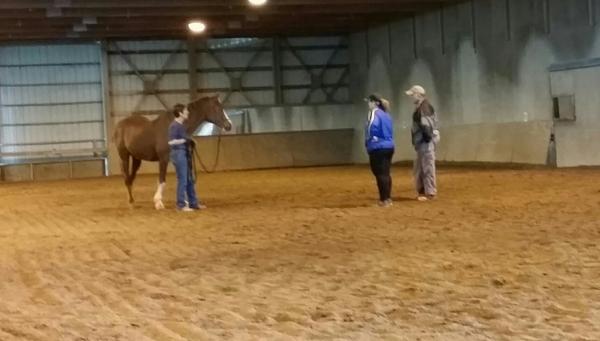 Vicki Rhaesa Horsemanship