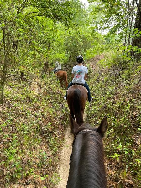 Cypress Trails Ranch LLC