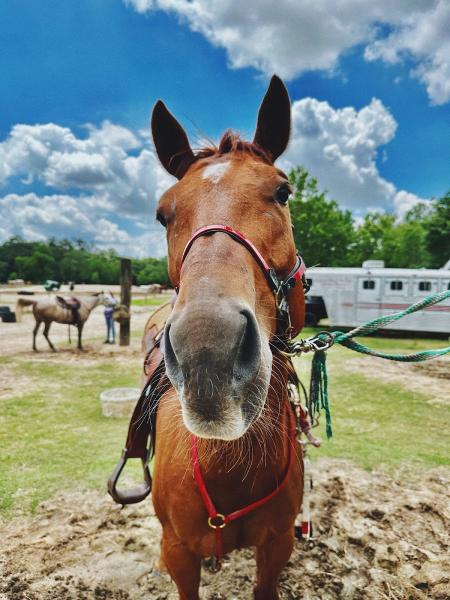 Cypress Trails Ranch LLC