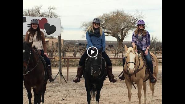 Miller Horse Farm and Riding Academy