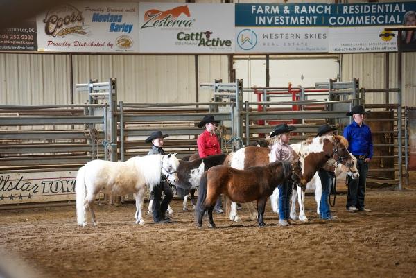 Miller's Horse Palace